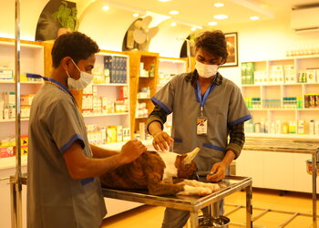 Scooby-doo-pet-hospital-Veterinary-hospitals-Kochi-Kerala-2