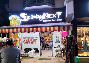 Scooby-next-Pet-stores-Ranchi-Jharkhand-1