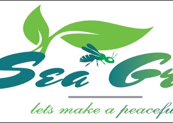 Sea-green-pest-control-pvt-ltd-Pest-control-services-Porur-chennai-Tamil-nadu-1