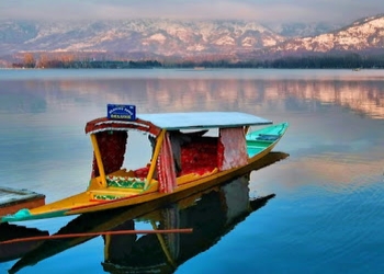 Sea-turtle-tour-and-travels-Travel-agents-Batamaloo-srinagar-Jammu-and-kashmir-1