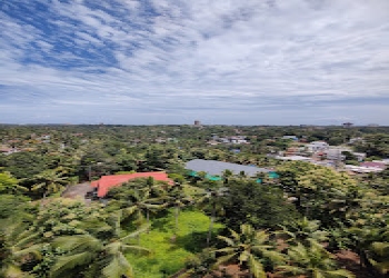 Serene-homestay-Homestay-Thiruvananthapuram-Kerala-2