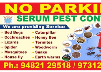 Serum-pest-control-services-Pest-control-services-Hampankatta-mangalore-Karnataka-1