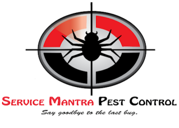 Service-mantra-pest-control-Pest-control-services-Cyber-city-gurugram-Haryana-1