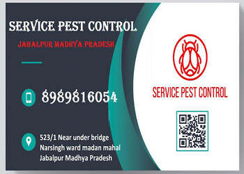 Service-pest-control-Pest-control-services-Madan-mahal-jabalpur-Madhya-pradesh-1