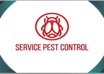 Service-pest-control-Pest-control-services-Napier-town-jabalpur-Madhya-pradesh-1