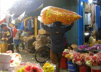 Sg-singh-dry-flower-shop-Flower-shops-Bara-bazar-kolkata-West-bengal-1