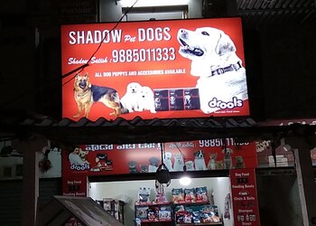 Shadow-pet-dogs-Pet-stores-Guntur-Andhra-pradesh-1