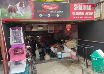 Shalimar-fish-aquarium-pet-shop-Pet-stores-Ghaziabad-Uttar-pradesh-1