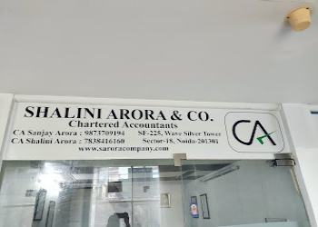 Shalini-arora-company-Chartered-accountants-Sector-41-noida-Uttar-pradesh-2