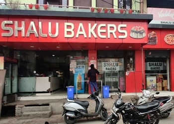 Shalu-bakers-Cake-shops-Meerut-Uttar-pradesh-1