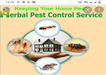 Shanti-herbal-pest-control-services-Pest-control-services-Electronic-city-bangalore-Karnataka-1