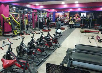 Shape-up-gym-Gym-Sri-ganganagar-Rajasthan-2