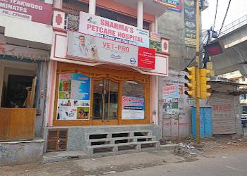 Sharmas-petcare-hospital-Veterinary-hospitals-Jhotwara-jaipur-Rajasthan-1