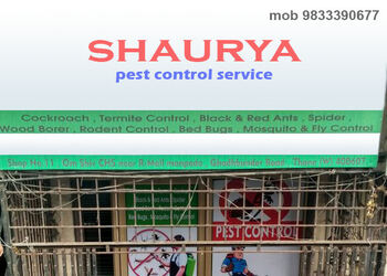 Shaurya-pest-control-service-Pest-control-services-Manpada-kalyan-dombivali-Maharashtra-1