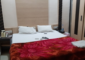 Sheela-green-hotel-Budget-hotels-Korba-Chhattisgarh-2