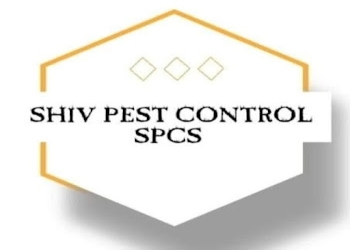 Shiv-pest-control-services-Pest-control-services-Dwarka-delhi-Delhi-1