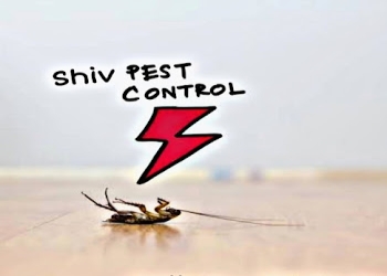 Shiv-pest-control-spc-Pest-control-services-Sanganer-jaipur-Rajasthan-1