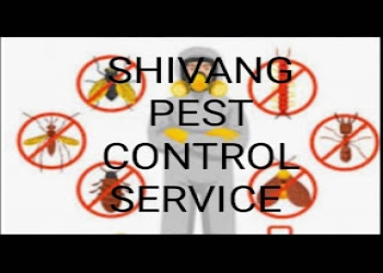 Shivang-pest-control-services-Pest-control-services-Vijay-nagar-indore-Madhya-pradesh-1