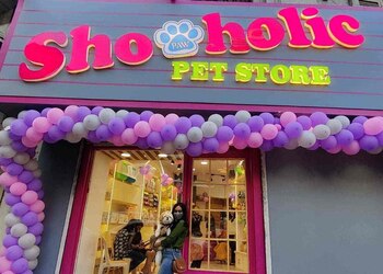 Shopawholic-Pet-stores-Khar-mumbai-Maharashtra-1