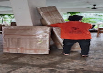 Shree-balaji-fast-packers-and-movers-Packers-and-movers-Goa-Goa-2