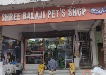 Shree-balaji-pets-shop-Pet-stores-Kanpur-Uttar-pradesh-1