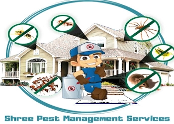 Shree-pest-management-solutions-Pest-control-services-Aland-gulbarga-kalaburagi-Karnataka-1