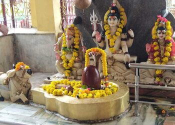 Shri-kalika-mandir-dharmarth-nyas-Temples-Bhopal-Madhya-pradesh-2