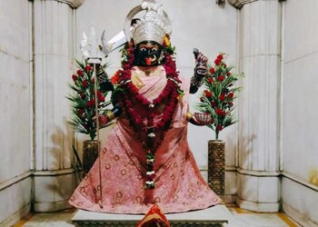 Shri-kalika-mandir-dharmarth-nyas-Temples-Bhopal-Madhya-pradesh-3
