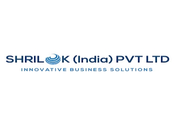 Shrilok-india-pvt-ltd-Digital-marketing-agency-Chandrapur-Maharashtra-1