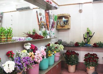 Shrinathji-florist-Flower-shops-Vadodara-Gujarat-2