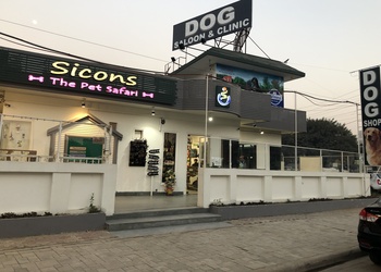 Sicons-the-pet-safari-Pet-stores-Cyber-city-gurugram-Haryana-1