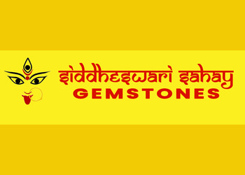 Siddheshwari-sahay-astrology-gemstones-Numerologists-Dwarka-delhi-Delhi-1