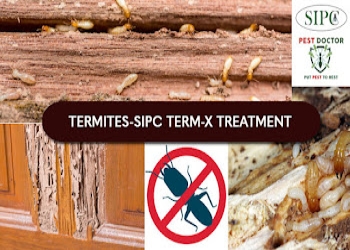 Sipc-best-pest-control-goa-pest-control-services-in-margoa-goa-Pest-control-services-Goa-Goa-2