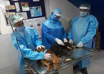 Sjs-pet-care-and-clinic-Veterinary-hospitals-Sector-55-faridabad-Haryana-2