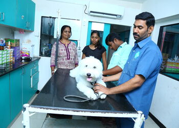 Sks-veterinary-hospital-Veterinary-hospitals-Aminjikarai-chennai-Tamil-nadu-2