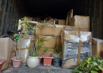 Sky-packers-and-movers-Packers-and-movers-Chandni-chowk-delhi-Delhi-3