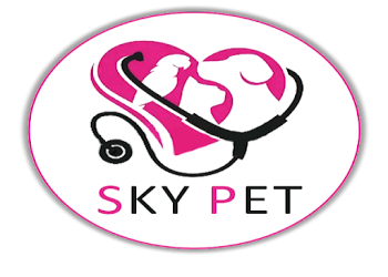 Sky-pet-animal-clinic-Veterinary-hospitals-Imphal-Manipur-1