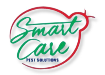 Smart-care-pest-solutions-Pest-control-services-Churchgate-mumbai-Maharashtra-1