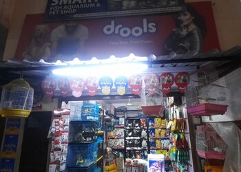 Smart-pet-shop-Pet-stores-Udaipur-Rajasthan-1