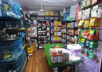 Smart-pet-shop-Pet-stores-Udaipur-Rajasthan-2