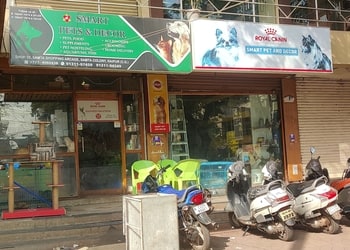 Smart-pets-Pet-stores-Raipur-Chhattisgarh-1