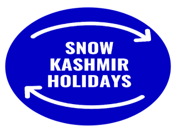 Snow-kashmir-holidays-Travel-agents-Batamaloo-srinagar-Jammu-and-kashmir-1