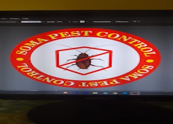 Soma-pest-control-Pest-control-services-Madhyamgram-West-bengal-1