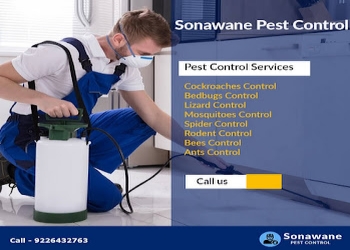 Sonawane-pest-control-Pest-control-services-Pimpri-chinchwad-Maharashtra-1