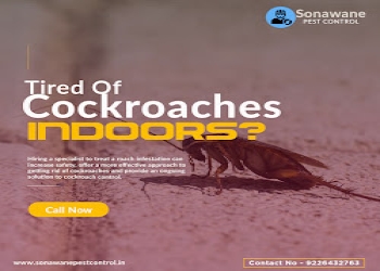 Sonawane-pest-control-Pest-control-services-Pimpri-chinchwad-Maharashtra-2