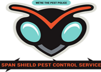 Span-shield-pest-control-service-Pest-control-services-Chandkheda-ahmedabad-Gujarat-1