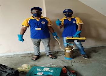 Spark-pest-control-services-Pest-control-services-Bhopal-Madhya-pradesh-1