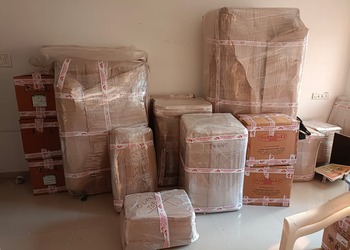 Speed-cargo-Packers-and-movers-Udhna-surat-Gujarat-2