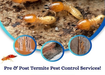 Sprc-pest-control-Pest-control-services-Vadodara-Gujarat-2