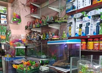 Sree-suriya-fishees-Pet-stores-Erode-Tamil-nadu-2